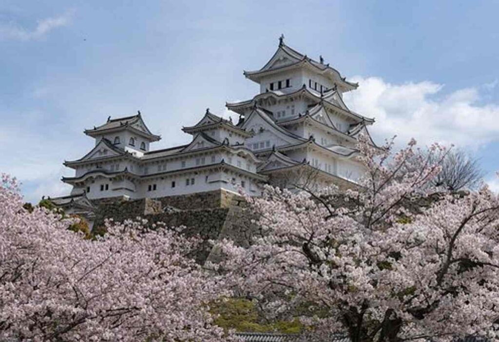 Hostel in Japan
