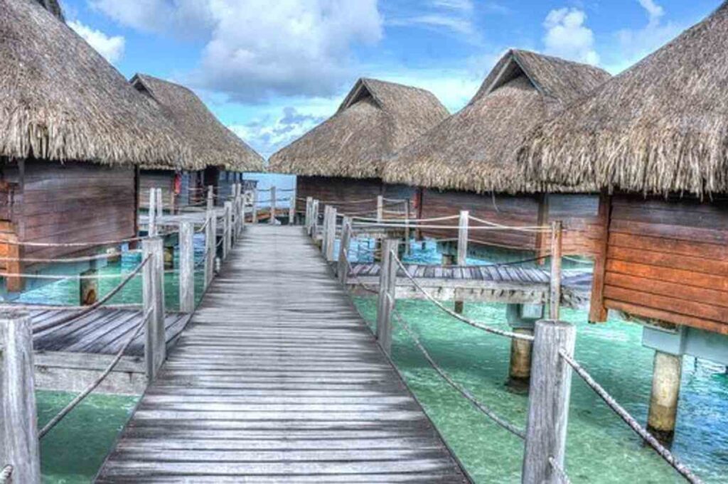 Gate 1 Travel Reviews