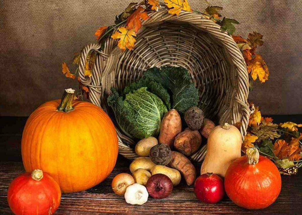 How To Enjoy Thanksgiving