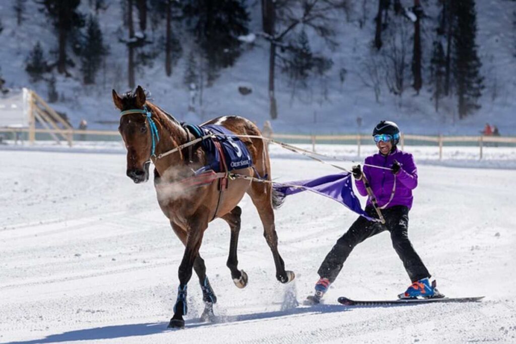 Emergency Brake On Your Horse