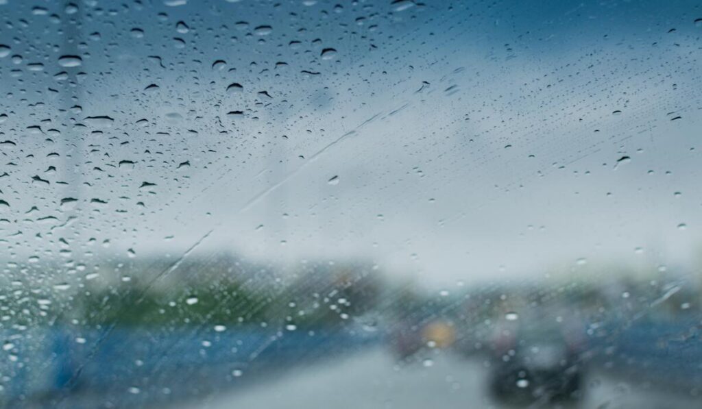 Monsoon Diet