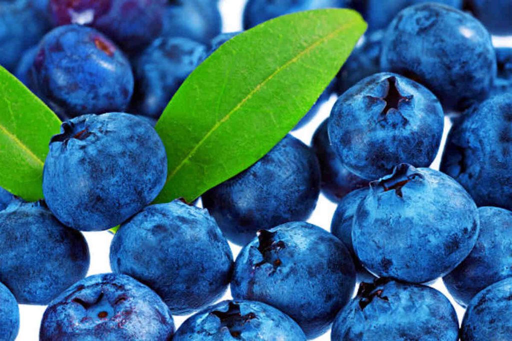 Bluey Food Facts