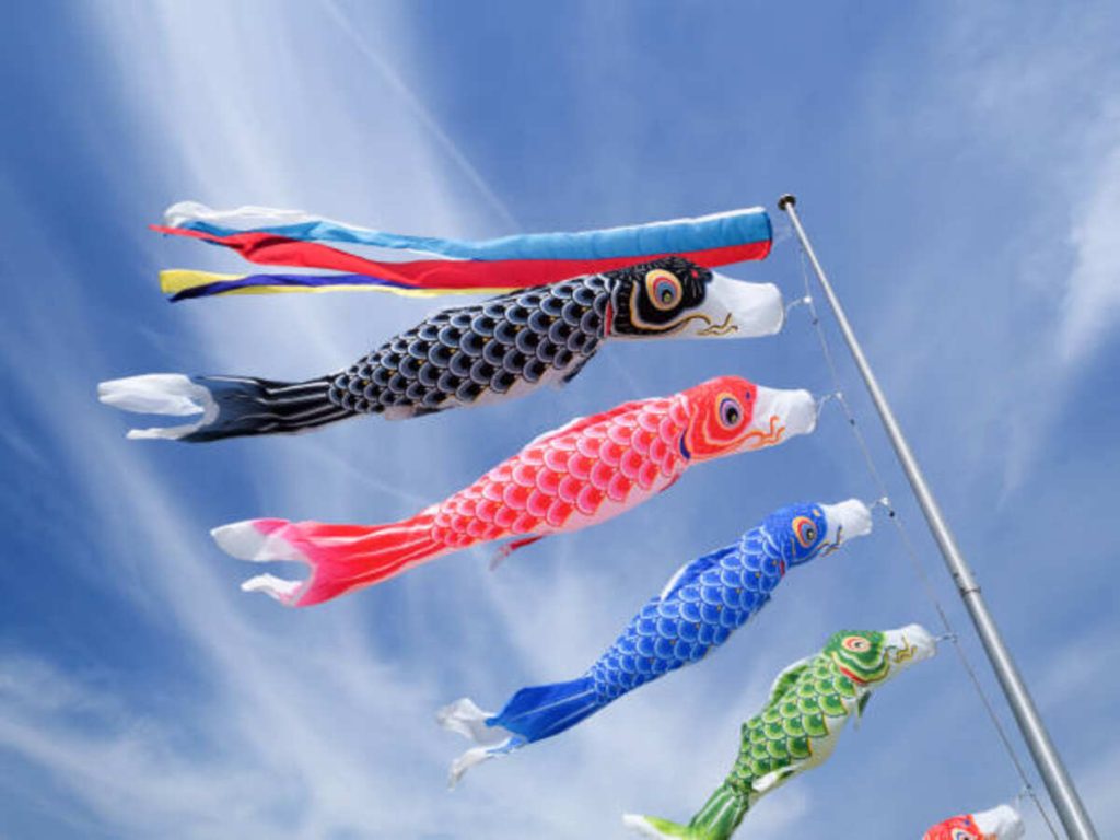 Flying Fish Hat