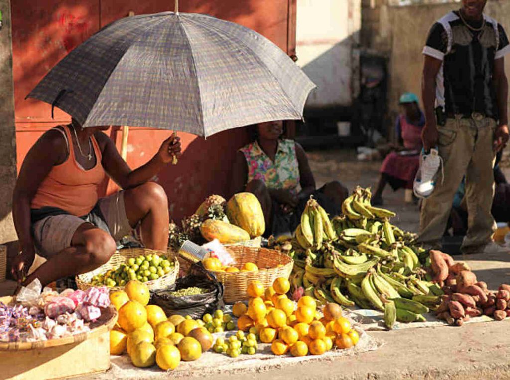 Haitian Food - Bold and Zesty
