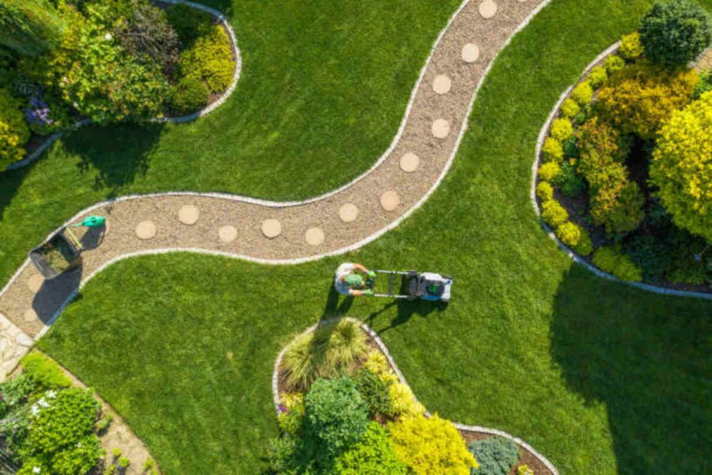 landscape contractors Mountain View ca